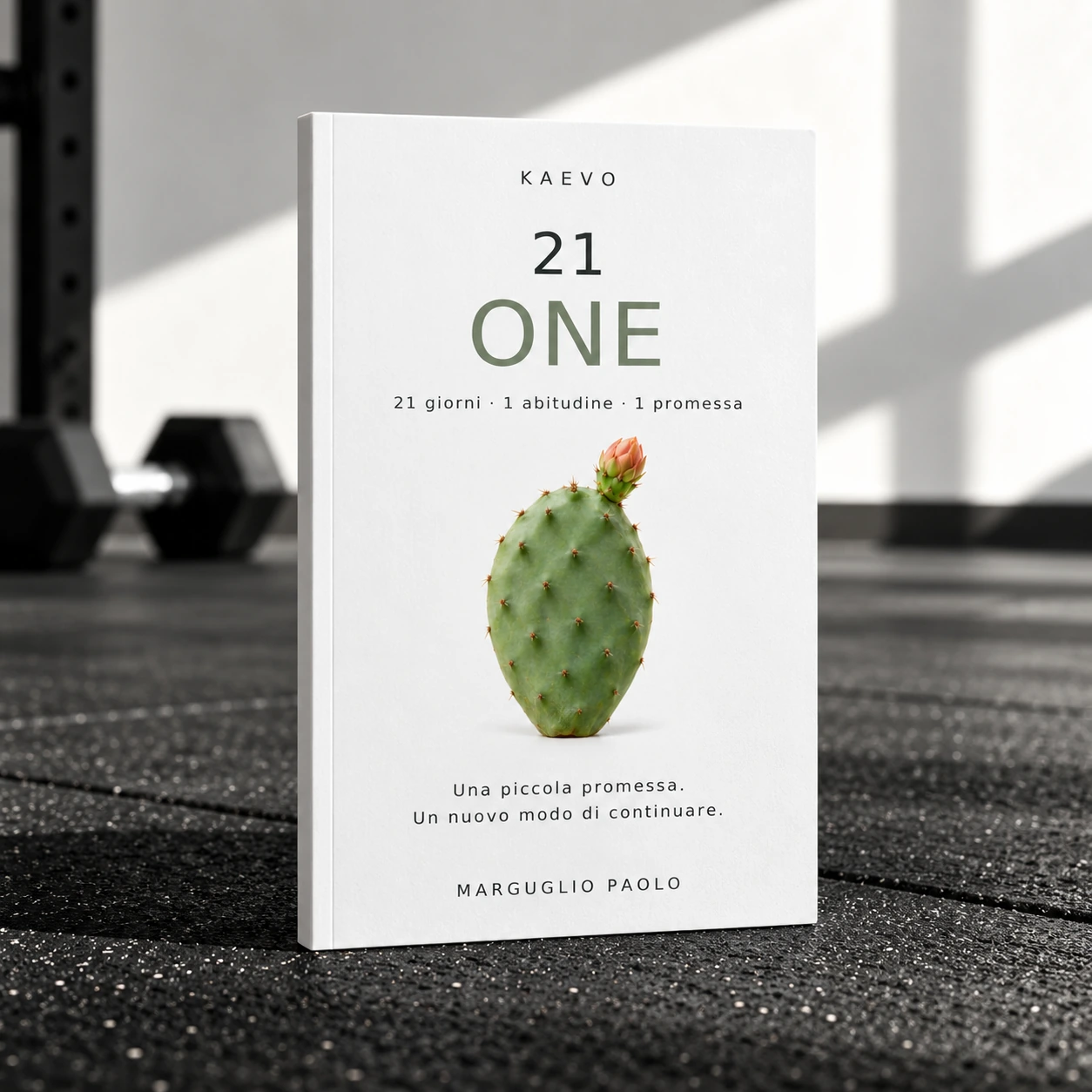 Mockup ufficiale del libro 21 – ONE